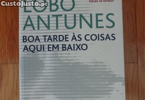 imagem_1