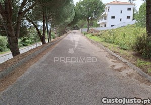 imagem_6