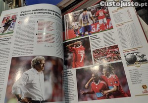 imagem_8