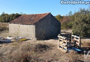 imagem_21
