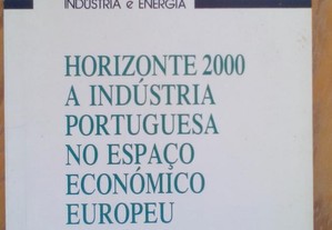 Horizonte 2000: A Indústria Portuguesa