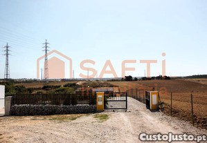 imagem_3
