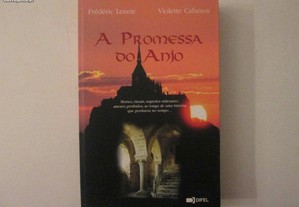 A promessa do Anjo- Frédéric Lenoir, V. Cabesos