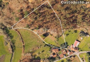 Terreno Rústico Urbanizável Com 4580M2 Em Vale,...