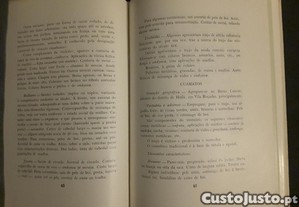 imagem_8