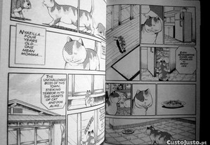 imagem_6
