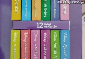 imagem_2