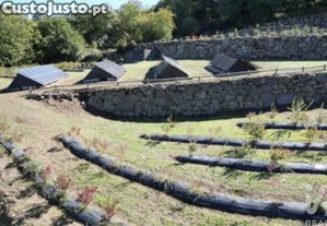 imagem_35