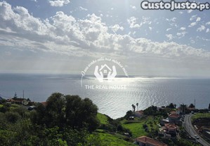 imagem_7