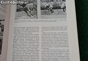 imagem_6