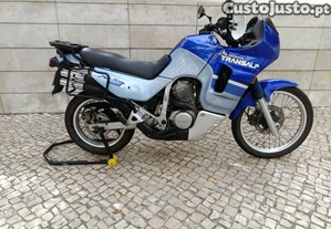 imagem_1
