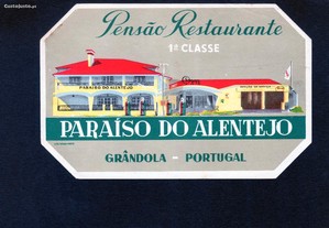 imagem_8