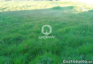 imagem_6