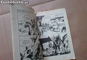 imagem_6