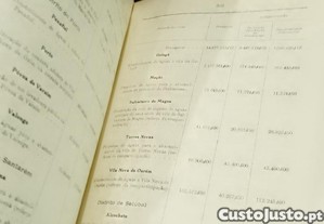 imagem_11