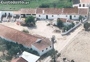 imagem_26