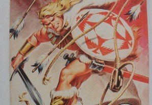 O Falcão 494 Histórias de Ficção OGAN " A Espada Diabólica " BD Banda Desenhada vikings