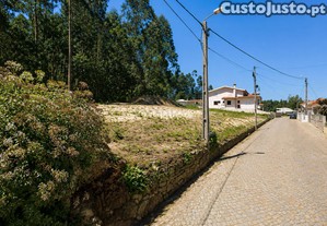 imagem_19