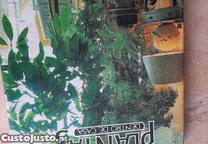 imagem_7