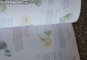 imagem_8