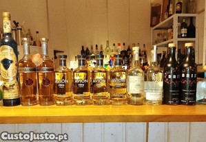 Lote de 13 garrafas de Tequila