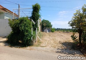 imagem_6