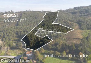 Casal - Terreno De Uso Silvícola E Agrícola C/...