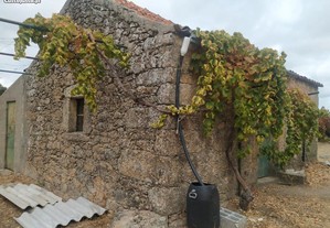 Quinta com casa em pedra