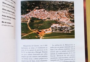 imagem_7