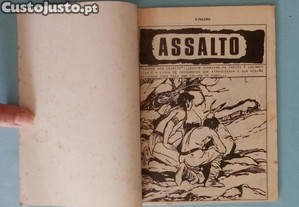 imagem_3
