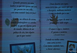 imagem_8