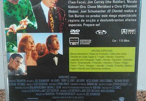 imagem_13