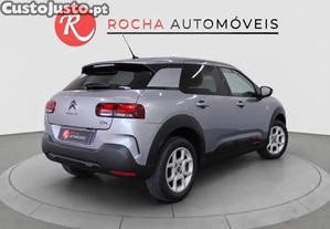 imagem_7