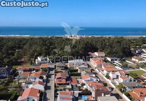 imagem_31
