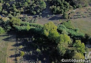 imagem_13
