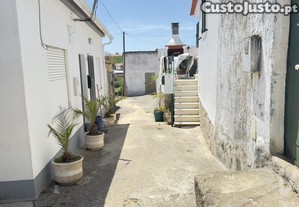 imagem_19