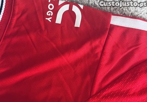 imagem_6