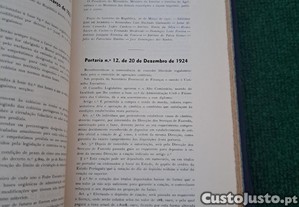 imagem_6