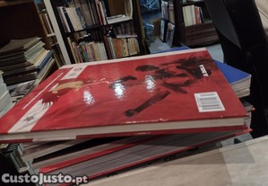 imagem_10