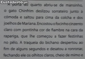 imagem_8