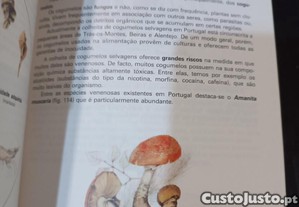 imagem_6