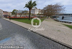 imagem_19
