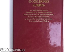 imagem_3