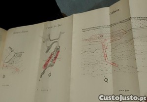 imagem_14