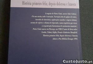 imagem_4