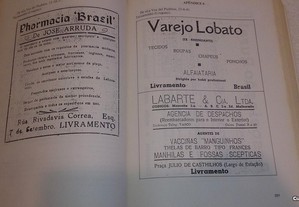 imagem_6