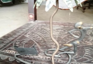 imagem_8