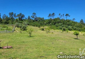 imagem_11