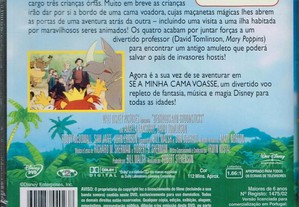 imagem_4