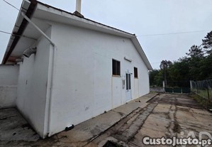 imagem_19
